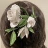 Gardenia